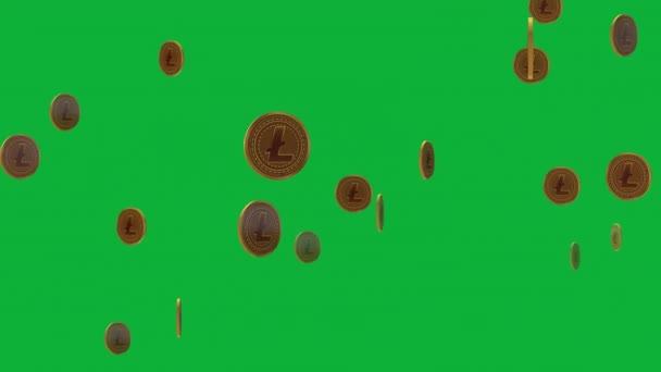 Добавьте Свой Проект Прикосновение Магии Помощью Coin Animation Свой Проект — стоковое видео