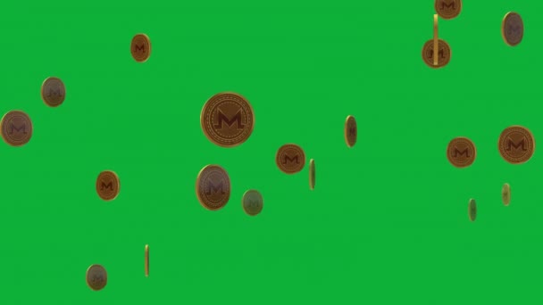 アニメーション化されたMonero Coinインフォグラフィックでプロジェクトを輝かせ 3Dコインアニメーションでプロジェクトのストーリーを実現 — ストック動画