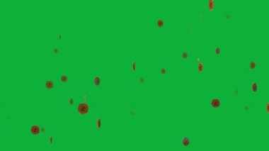 Projen için Profesyonel Bitcoin Animasyonuyla, 3 boyutlu etkileyici bir Zcash Para Animasyonuyla Projenizi Parlat