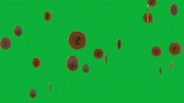 Make Your Project Stand Out Eye Catching Coin Animation Transform — Stock Video