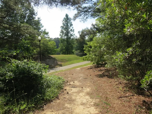 Walking trail leading to lake, Harbison Lake Loop at Archers Lake in Columbia, South Carolina in late afternoon on a sunny day.