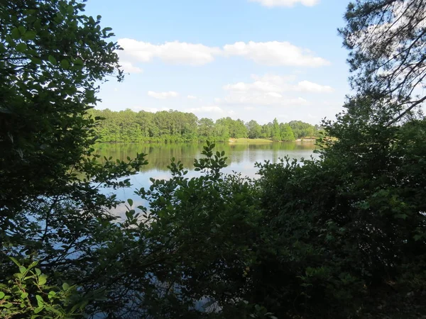 Lake Background Trees Foliage Foreground Harbison Lake Loop Archers Lake — Φωτογραφία Αρχείου