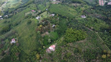 Güzel yeşil renkleri olan bir kahve kasabasının hava görüntüleri.