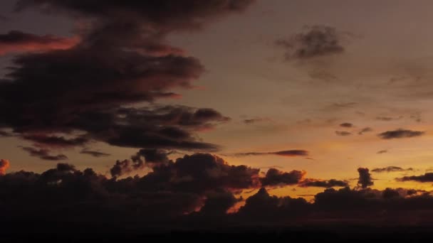 Зображення Боліт Красивим Заходом Сонця Міським Рухом — стокове відео
