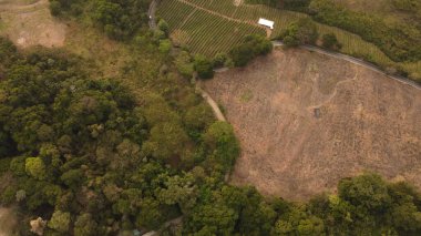 Güzel günbatımında ibague şehrinin hava manzarası