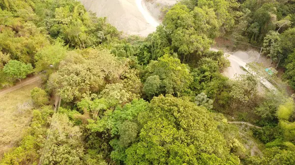 Güzel günbatımında ibague şehrinin hava manzarası