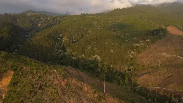 Köprüleri ve trafiğiyle merkez sıradağları geçen otoyolun hava görüntüleri