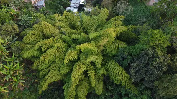 Kolombiya, manzara, çiftlikler ve kentsel alanların hava fotoğrafları