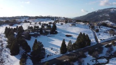 Fesh Snow Julian California - San Diego 'nun 80 km doğusundaki dağları kaplayan taze bir soğuk toz tabakasıyla zıt Güney Kaliforniya üzüm tarlaları karla kaplandı.