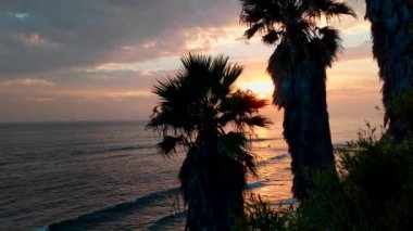 Swamis Sahili perspektifinden gün batımı. Günbatımları, sörfçüler, siluetler, gelgit havuzları, palmiye ağaçları ve okyanus kaya heykelleri ile Güney Kaliforniya plaj sahneleri ve daha fazlası Encinitas California 'daki Swamis Resif Sörf Parkı, Ay ışığı ve Cardiff plajlarında.