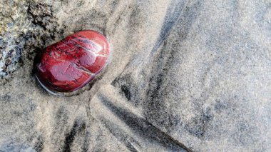 Southern California beaches north of San Diego. Shoreline sunsets, ocean waves, surfers, tide pools, palms trees, and rock abstractions at Swamis Reef Surf Park in Encinitas California. clipart