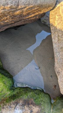 Güney Kaliforniya kıyıları - dalgalar, plajlar, gün batımları ve siluetler, gelgit havuzları, sörfçüler, palmiye ağaçları ve Cardiff ve Swamis Resif Sörf Parkı ve Encinitas 'taki Moonlight Sahili' ndeki serin kaya soyutlamaları.