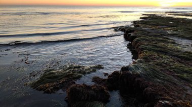 Güney Kaliforniya plaj sahneleri gelgit havuzları, soyut kaya oluşumları, okyanus dalgaları, sörf tahtaları olan sörfçüler ve Swamis Resif Parkı Encinitas California 'da sıcak lavanta gökyüzü..