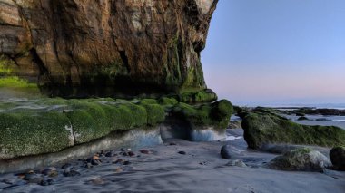 Güney Kaliforniya 'nın Encinitas bölgesindeki Encinitas Sahili' nde günbatımı, sörfçüler, gelgit havuzları, palmiye ağaçları ve San Diego 'nun 25 mil kuzeyindeki Swamis Resif Sörf Parkı' ndaki plaj soyutlamaları ile birlikte..