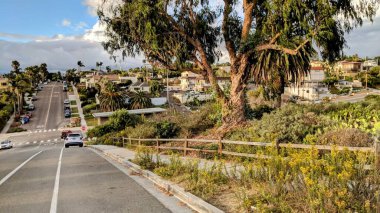 Swamis Resif Sörf Parkı 'ndaki günbatımları, sörfçüler, gelgit havuzları, yıpranmış kaya soyutları ve palmiye ağaçları ve Encinitas California çevresindeki sahneler..