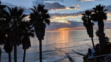 Swamis Resif Sörf Parkı 'ndaki günbatımları, sörfçüler, gelgit havuzları, yıpranmış kaya soyutları ve palmiye ağaçları ve Encinitas California çevresindeki sahneler..