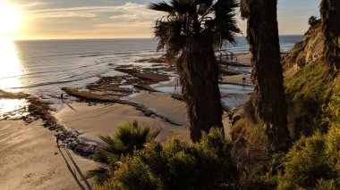 Güney Kaliforniya plaj sahneleri - Encinitas Kaliforniya 'daki Swamis Resif Sörf Parkı' ndaki günbatımları, sörfçüler, gelgit havuzları, dalgalar, kayalar, kum, palmiye ağaçları, çiçekler ve diğer bitkiler.