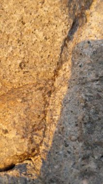 Pasifik Okyanusu 'nda gün batımı Swamis Point' te. Güney Kaliforniya sahilleri San Diego 'nun kuzeyinde. Sahil şeridi günbatımları, okyanus dalgaları, sörfçüler, gelgit havuzları, palmiye ağaçları ve Encinitas California 'daki Swamis Resif Sörf Parkı' ndaki kaya soyutlamaları..