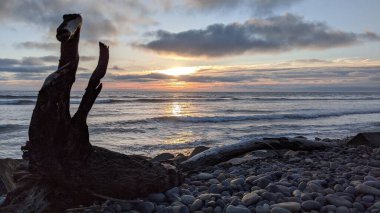 Southern California beach scenes north of San Diego - Sunsets, surfers, tide pools, waves, rocks, sand and palms trees at Cardiff Reef Beach Park in Encinitas California. clipart