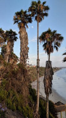 Güney Kaliforniya kıyıları - Encinitas 'taki Cardiff Resifi ve Swamis Sörf Parkları' nda okyanus dalgaları, plajlar, bulutlar ve gün batımları.