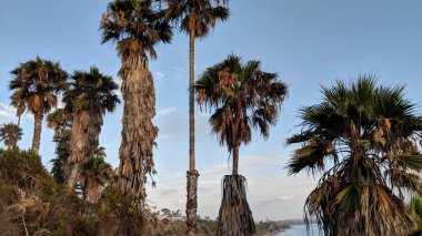 Güney Kaliforniya kıyıları - Encinitas 'taki Cardiff Resifi ve Swamis Sörf Parkları' nda okyanus dalgaları, plajlar, bulutlar ve gün batımları.