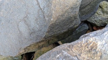 Swamis Sahili 'ndeki Nehir Kayalarının Serin Renkli Karışımı. Antik çağlarda hızla yuvarlanan ve parlayan bu yuvarlak kayalar Cardiff ve Swamis Resifi Encinitas California 'daki erimiş kayaların heykelini yaptı..