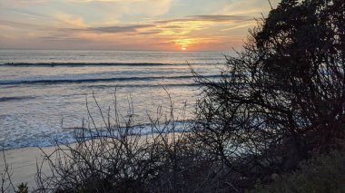Güney Kaliforniya plajı ve sahili siluetleri, sörfçüleri, gelgit havuzları ve palmiye ağaçları Cardiff 'te Encinitas California' daki deniz kıyısında..