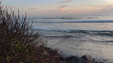 Güney Kaliforniya plajları, günbatımları, dalgalar, sörfçüler, gelgit havuzları, bulutlar ve palmiye ağaçları Cardiff 'te Encinitas Kaliforniya' nın 25 mil kuzeyinde yer alan Encinitas Denizi kıyısında.