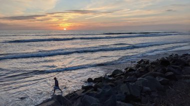 Güney Kaliforniya plajları, günbatımları, dalgalar, sörfçüler, gelgit havuzları, bulutlar ve palmiye ağaçları Cardiff 'te Encinitas Kaliforniya' nın 25 mil kuzeyinde yer alan Encinitas Denizi kıyısında.