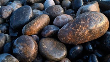 Swamis Sahili 'ndeki Nehir Kayalarının Serin Renkli Karışımı. Yuvarlak ve cilalı bu kayalar, eski çağlarda hızla akan iç akıntılar ve okyanus dalgaları sayesinde erimiş kayaların Swamis Resif Parkı Encinitas California 'da pürüzsüz olmasına yardımcı oldu..