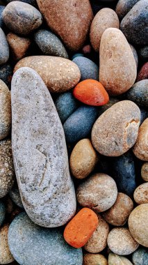 Cilalanmış erimiş kayalar Swamis Sahili 'nin karışık nehir kayalarını renklendirdi. 50 yıl önce, Swamis Resif Parkı Encinitas 'taki sörf karışımında eski nehir kayaları tarafından çevrelenmiş erozyon kontrol kayaları kıyıya bırakıldı..