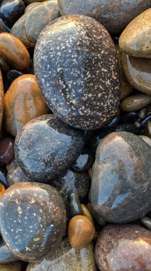 The art of the Melted Rocks of Swamis Beach. Erosion control boulders put down along the shore 50 years ago now surrounded by ancient multi colored river rocks all on the wave powered rock polishing team at Swamis Reef Surf Park Encinitas California. clipart