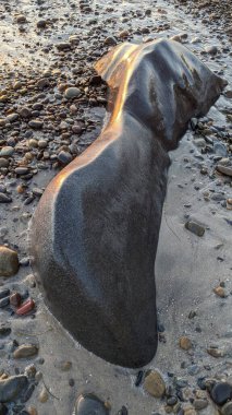 Swamis Sahili 'nin erimiş kayaları sanatı. 50 yıl önce kıyı boyunca uzanan erozyon kontrol kayaları Swamis Resif Sörf Parkı Encinitas California 'daki dalga enerjili kaya parlatıcı ekibindeki çok renkli nehir kayalarıyla çevrili..