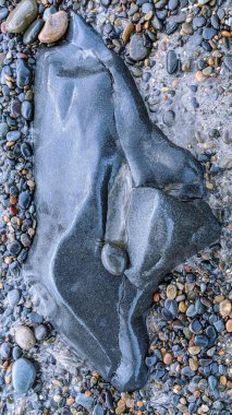 Swamis Sahili 'nin erimiş kayalıkları. 50 yıl önce kıyıya bırakılan erozyon kontrol taşı taş ocakları Swamis Resif Sörf Parkı Encinitas California 'daki dalgaların karışımında antik nehir kayalarıyla çevrili güzel heykellere benzeyen pürüzsüz bir şekilde yıprandı..