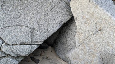 Swamis Sahili 'nin serin erimiş kayalıkları. 50 yıl önce, Swamis Resif Parkı Encinitas 'taki Swamis Sörf Parkı Encinitas' ta sörf yapan kayalar tarafından çevrelenmiş eski nehir kayalarıyla çevrelenmiş erozyon kontrol kayaları..