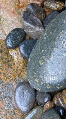 Swamis Sahili 'nin soğuk erimiş kayaları. 50 yıl önce, Swamis Resif Parkı Encinitas 'taki Swamis Kayalıkları Sörf Parkı' ndaki kayaların cilalama karışımında antik nehir kayaları tarafından çevrelenmiş erozyon kontrol kayaları kıyıya bırakıldı..