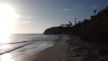 Günbatımı siluetleri, sörfçüleri, gelgit havuzları ve palmiye ağaçlarıyla Encinitas California 'daki Swamis Resif Sörf Parkı' nda güneşli Güney Kaliforniya sahneleri..