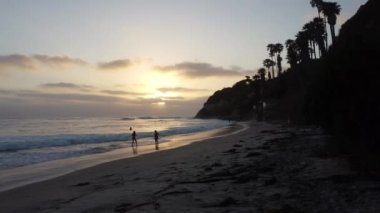 Günbatımı siluetleri, sörfçüleri, gelgit havuzları, yontulmuş kayalar, martılar ve palmiye ağaçları olan Güney Kaliforniya sahneleri Encinitas California 'daki Swamis Resif Sörf Parkı' nda..