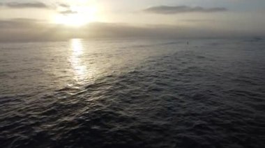 Günbatımı siluetleri, sörfçüleri, gelgit havuzları, yontulmuş kayalar, martılar ve palmiye ağaçları olan Güney Kaliforniya sahneleri Encinitas California 'daki Swamis Resif Sörf Parkı' nda..
