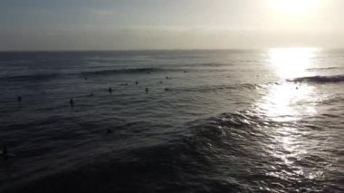 Günbatımı siluetleri, sörfçüleri, gelgit havuzları, yontulmuş kayalar, martılar ve palmiye ağaçları olan Güney Kaliforniya sahneleri Encinitas California 'daki Swamis Resif Sörf Parkı' nda..