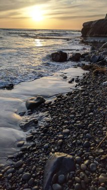 Sörfçülerin, dalgaların, plajların, gün batımlarının, gelgit havuzlarının, deniz yaşamının, palmiyelerin, palmiyelerin ve Kaliforniya 'daki Swamis Resif Sörf Parkı' ndaki serin plaj taşlarının oluşturduğu San Diego yakınlarındaki günbatımı sahneleri..