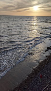 Sörfçüler, dalgalar, plajlar, gün batımları, siluetler, gelgit havuzları, palmiye ağaçları ve Kaliforniya 'daki Swamis Resif Sörf Parkı' nda yontulmuş serin plaj kayaları..