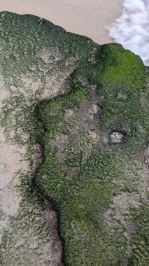 Swamis Sahili 'nin soğuk erimiş kayaları. 50 yıl önce kıyı şeridi boyunca uzanan okyanus dalgası erozyon kontrol taşları Swamis Resif Sörf Parkı Encinitas California 'daki nehir taşlarıyla çevrili soyut heykellere benziyor..