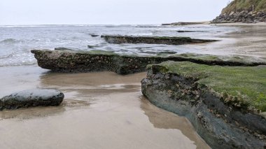 Güney Kaliforniya 'da gizli plajlar, gün batımları, sörfçüler, gelgit havuzları, sahil kayalıkları, palmiye ağaçları ve San Diego' nun 25 mil kuzeyindeki Encinitas kıyılarındaki Swamis Kayalık Sörf Parkı 'nda şiddetli kış fırtınaları..