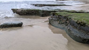 Günbatımında Güney Kaliforniya sahillerinde, eski resif gel-git havuzları, okyanus dalgaları ve Swamis Resif Parkı Encinitas California 'da alacakaranlık renkli gökyüzü.