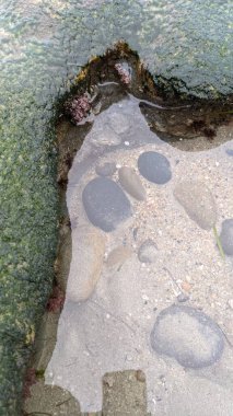 Günbatımında Güney Kaliforniya sahillerinde, eski resif gel-git havuzları, okyanus dalgaları ve Swamis Resif Parkı Encinitas California 'da alacakaranlık renkli gökyüzü.