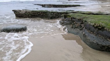 Günbatımında Güney Kaliforniya sahillerinde, eski resif gel-git havuzları, okyanus dalgaları ve Swamis Resif Parkı Encinitas California 'da alacakaranlık renkli gökyüzü.