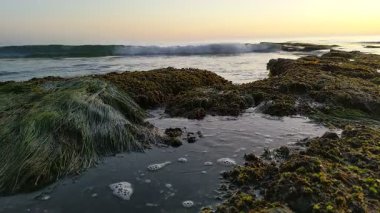 Günbatımında Güney Kaliforniya sahillerinde, eski resif gelgitleri, okyanus dalgaları ve karanlık gökyüzü Swamis Resif Parkı Encinitas California 'da..