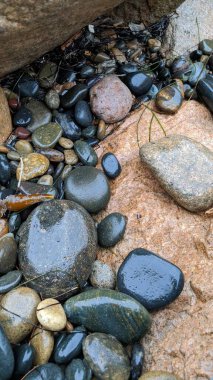 San Diego 'nun 25 mil kuzeyindeki Encinitas sahilindeki Swamis Resif Sörf Parkı' nda günbatımları, dalgalar, sörfçüler, gel-git havuzları, palmiye ağaçları ve plaj kayaları olan gözlerden uzak güzel güney Kaliforniya plajları..