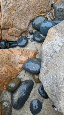 Swamis Sahili 'nin Erimiş Kayalıkları. Okyanus dalgası erozyon kontrol taşları 50 yıl önce kıyı şeridi boyunca uzanan kaya parçaları şimdi Swamis Resif Sörf Parkı Encinitas California 'daki antik nehir kayalarıyla çevrili soyut heykellere benziyor..